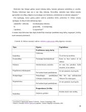 Vadovavimo stilius bei jo efektyvumo įvertinimas 17 puslapis