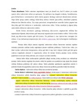 Vadovavimo stilius bei jo efektyvumo įvertinimas 3 puslapis