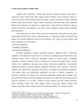 Vadovavimo stilius bei jo efektyvumo įvertinimas 5 puslapis