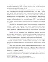 Vadovavimo stilius bei jo efektyvumo įvertinimas 6 puslapis