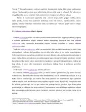 Vadovavimo stilius bei jo efektyvumo įvertinimas 7 puslapis