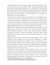 Vadovavimo stilius bei jo efektyvumo įvertinimas 8 puslapis