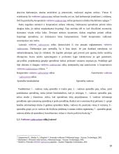 Vadovavimo stilius bei jo efektyvumo įvertinimas 9 puslapis