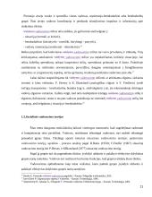 Vadovavimo stilius bei jo efektyvumo įvertinimas 10 puslapis