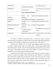 Vadovavimo stilius ir jo efektyvumo įvertinimas 17 puslapis