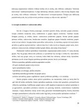 Vadovavimo stilius ir jo efektyvumo įvertinimas 20 puslapis