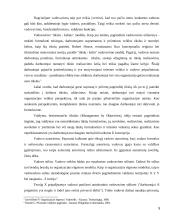 Vadovavimo stilius ir jo efektyvumo įvertinimas 5 puslapis