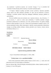 Vadovų asmeninių ir dalykinių savybių ir gebėjimų tyrimas 13 puslapis