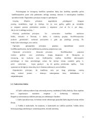 Vadovų asmeninių ir dalykinių savybių ir gebėjimų tyrimas 15 puslapis