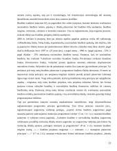 Valstybės pajamų ir išlaidų teisinė analizė 11 puslapis