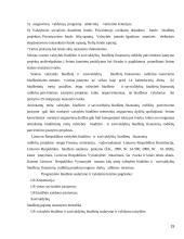 Valstybės pajamų ir išlaidų teisinė analizė 19 puslapis