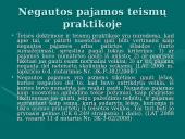 Nuostolių atlyginimo problema vienašališkai nutraukiant ilgalaikes nuomos sutartis  13 puslapis