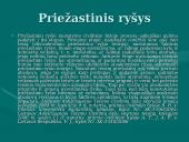 Nuostolių atlyginimo problema vienašališkai nutraukiant ilgalaikes nuomos sutartis  15 puslapis