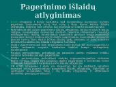 Nuostolių atlyginimo problema vienašališkai nutraukiant ilgalaikes nuomos sutartis  19 puslapis
