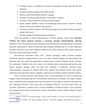 Žmogaus teisių apsaugos naujausios tendencijos. Referatas 5 puslapis