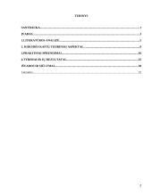 Sėkmės ir nesėkmės kaštų santykis X organizacijoje 2 puslapis