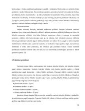 Sėkmės ir nesėkmės kaštų santykis X organizacijoje 16 puslapis