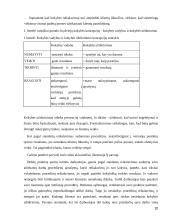 Sėkmės ir nesėkmės kaštų santykis X organizacijoje 20 puslapis