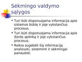 Sisteminė teorija 12 puslapis