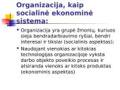 Sisteminė teorija 16 puslapis