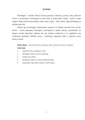 Stresas ir jo valdymas rašto darbas 3 puslapis