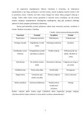 Stresas ir jo valdymas rašto darbas 5 puslapis