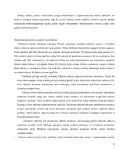 Sklypų elektrofikacijos kursinis projektas 13 puslapis