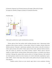 Sklypų elektrofikacijos kursinis projektas 20 puslapis
