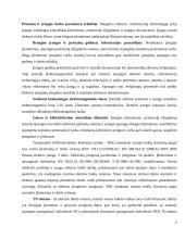 Sklypų elektrofikacijos kursinis projektas 6 puslapis