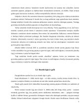 Lietuvos, Latvijos ir Estijos skurdo palyginamosios analizės tyrimas 9 puslapis