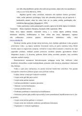 Smurtas prieš vaikus nedarnioje šeimoje 11 puslapis