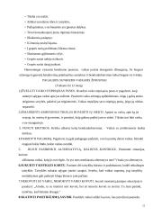 Smurtas prieš vaikus nedarnioje šeimoje 12 puslapis