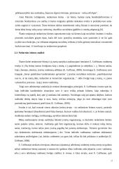 Smurtas prieš vaikus nedarnioje šeimoje 17 puslapis