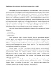 Smurtas prieš vaikus nedarnioje šeimoje 7 puslapis