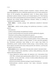 Socialinių paslaugų verslo globalizacijos perspektyvūs ekonominiai sprendimai 2 puslapis