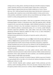 Socialinių paslaugų verslo globalizacijos perspektyvūs ekonominiai sprendimai 12 puslapis