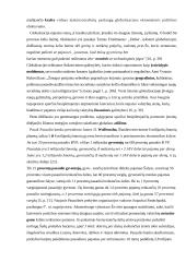 Socialinių paslaugų verslo globalizacijos perspektyvūs ekonominiai sprendimai 13 puslapis