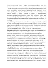 Socialinių paslaugų verslo globalizacijos perspektyvūs ekonominiai sprendimai 15 puslapis