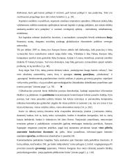 Socialinių paslaugų verslo globalizacijos perspektyvūs ekonominiai sprendimai 17 puslapis