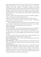 Socialinių paslaugų verslo globalizacijos perspektyvūs ekonominiai sprendimai 20 puslapis