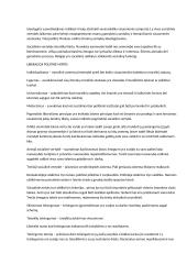 Socialinė filosofija konspektas 13 puslapis