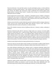 Socialinė filosofija konspektas 5 puslapis