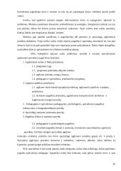 Specialiosios pedagoginės pagalbos teikimas bendrojo lavinimo mokyklose 20 puslapis