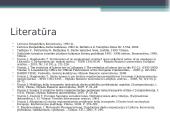 Lietuvos Respublikos statutinės tarnybos drausmės teisinis reglamentavimas bei teisės aktų šiuo klausimų analizė 17 puslapis
