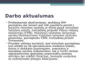 Lietuvos Respublikos statutinės tarnybos drausmės teisinis reglamentavimas bei teisės aktų šiuo klausimų analizė 3 puslapis