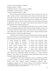 Statutinių valstybės tarnautojų, policijos pareigūnų darbo užmokesčo analize ir dinamika 12 puslapis