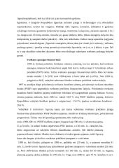 Sveikatos apsaugos sistemos būklė 3 puslapis