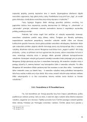 Neutralitetas taikos ir karo metu 16 puslapis