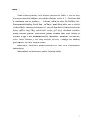 Teologinės kilmės ir visuomenės sutarties teorijų palyginimas 2 puslapis