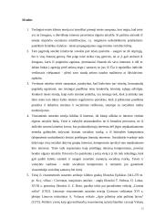 Teologinės kilmės ir visuomenės sutarties teorijų palyginimas 12 puslapis